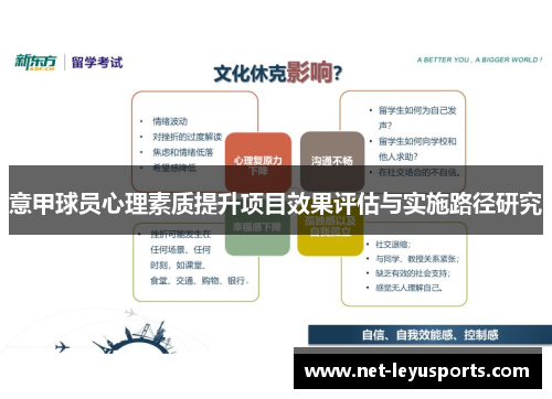 意甲球员心理素质提升项目效果评估与实施路径研究