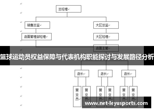 篮球运动员权益保障与代表机构职能探讨与发展路径分析
