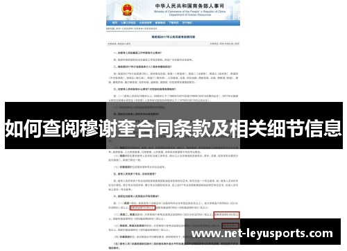 如何查阅穆谢奎合同条款及相关细节信息