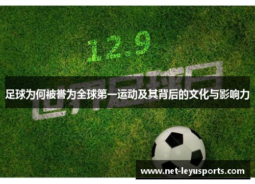 足球为何被誉为全球第一运动及其背后的文化与影响力