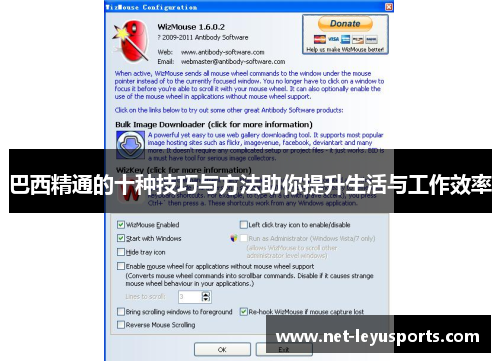 巴西精通的十种技巧与方法助你提升生活与工作效率